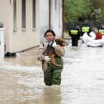 100609_arviz 100609_arviz