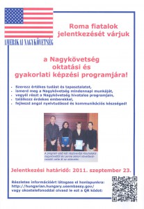 Fellowship program 2011