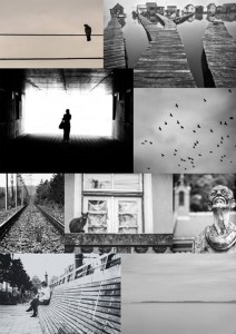 Pannon Egyetem Fotókor_kiallitas montazs Pannon Egyetem Fotókor_kiallitas montazs