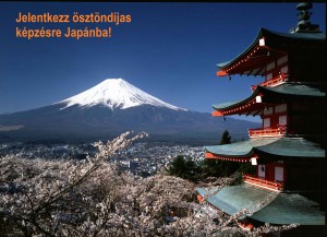 További információ További információ