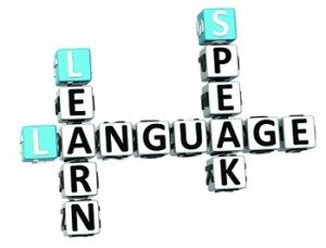 Nyelvi szintfelmérő