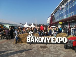 Az V. Bakony Expon jubiláltunk mi is!