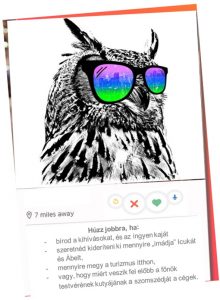 Tiéd a Döntés, Képes vagy rá!