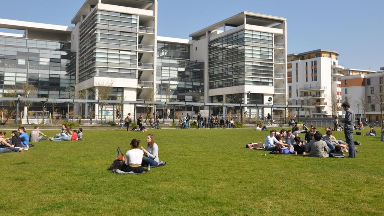 0130691920072-web-tete